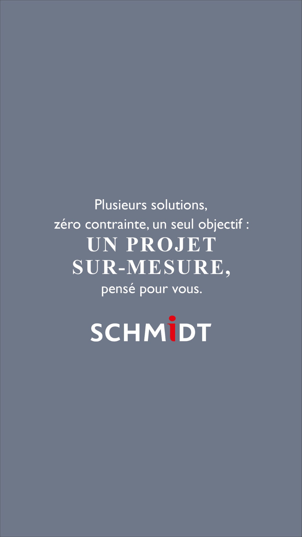 Schmidt Facebook ad