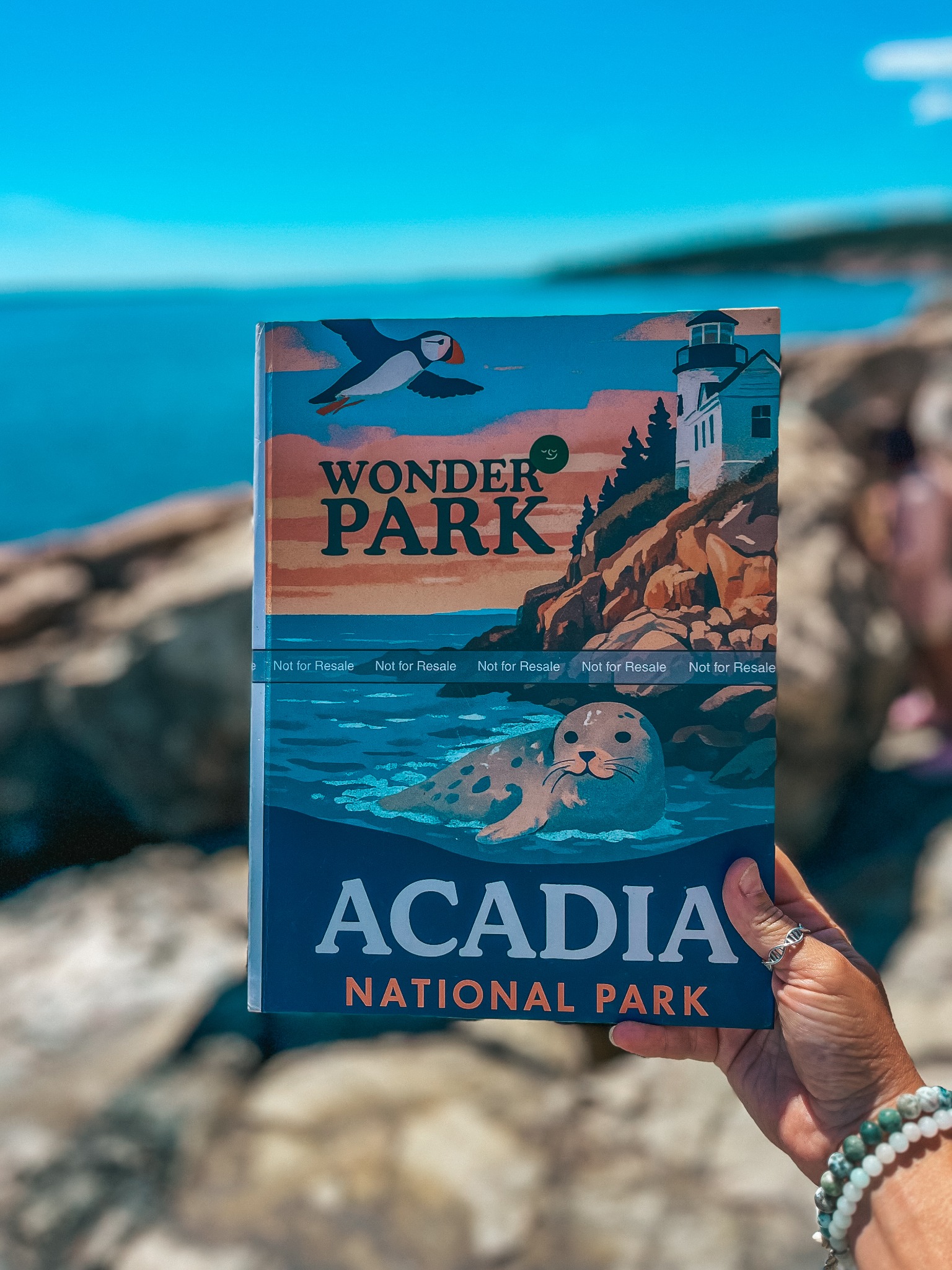 Wonder Park Family Facebook ad