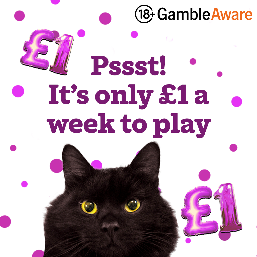 Cats Protection Facebook ad