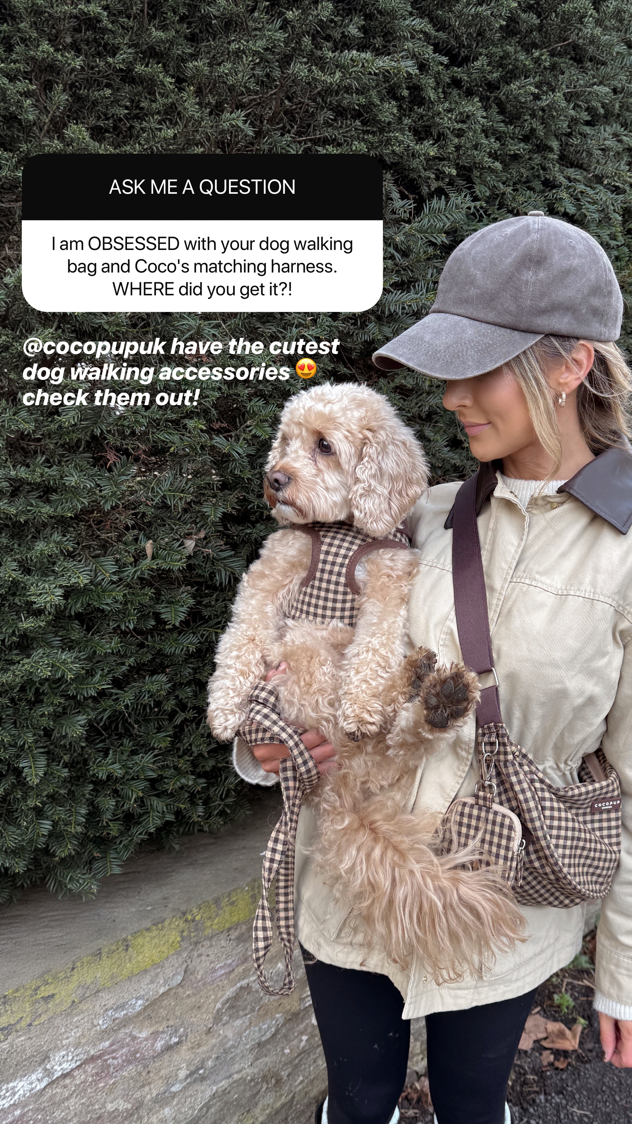 Cocopupuk Facebook ad: The Cocopup Favourites