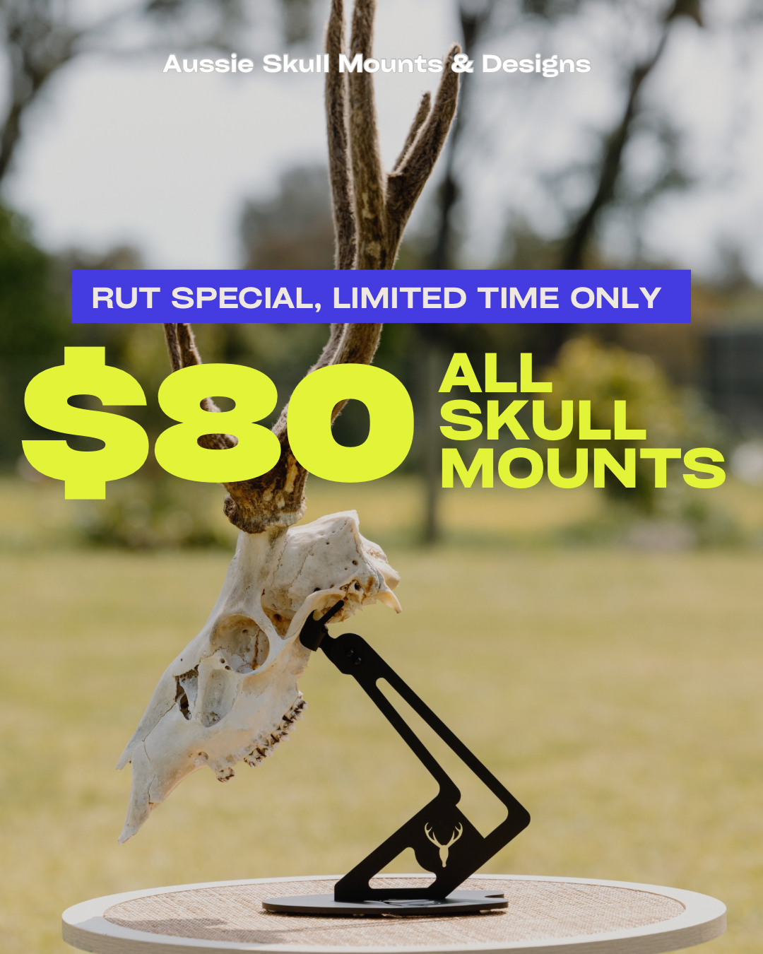 Aussie Skull Mounts and Designs Facebook ad