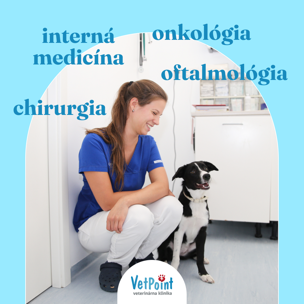 VetPoint - veterinárna klinika Facebook ad: Veterinárne služby na tej najvyššej úrovni