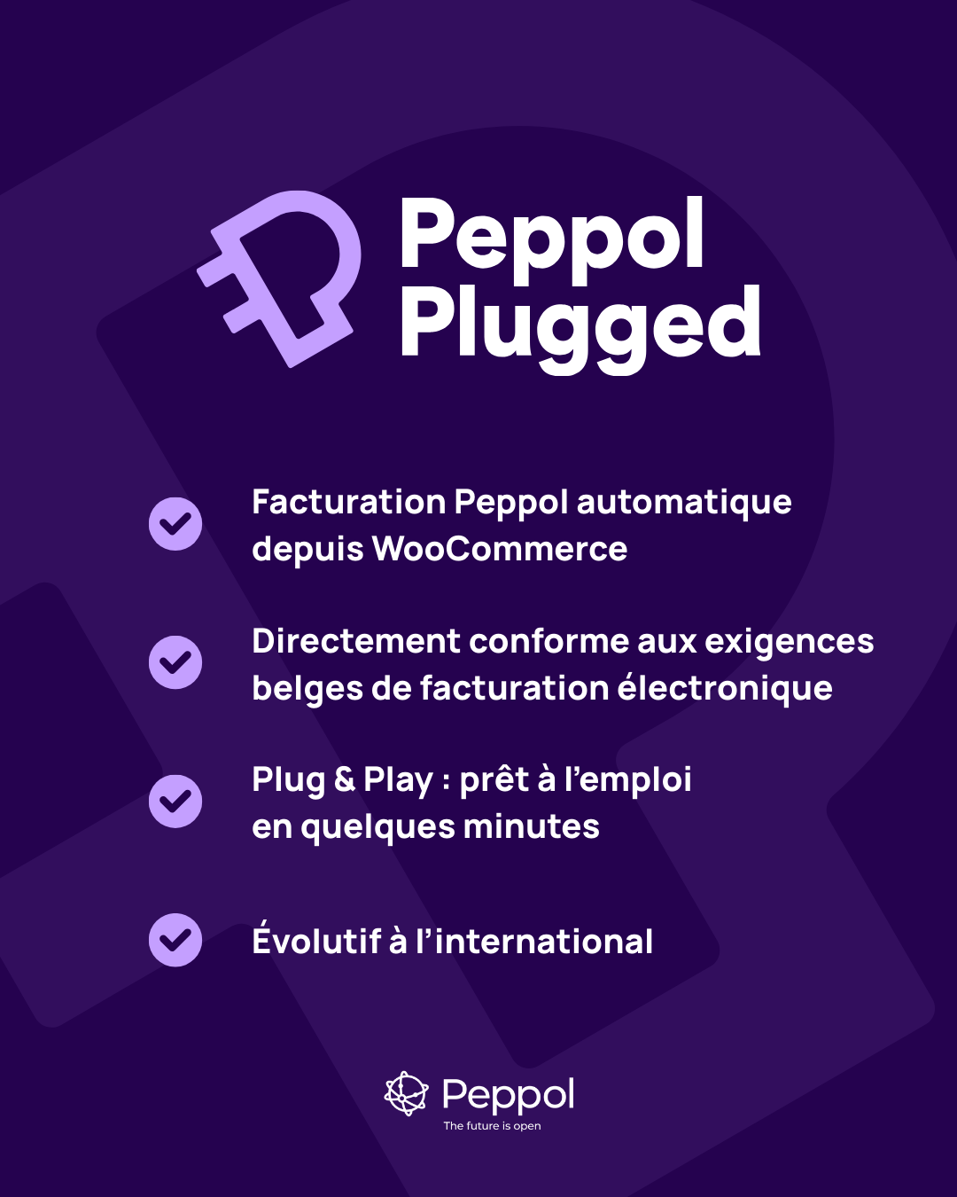 Peppol Plugged Facebook ad: Facturation électronique via Peppol, prête en quelques…