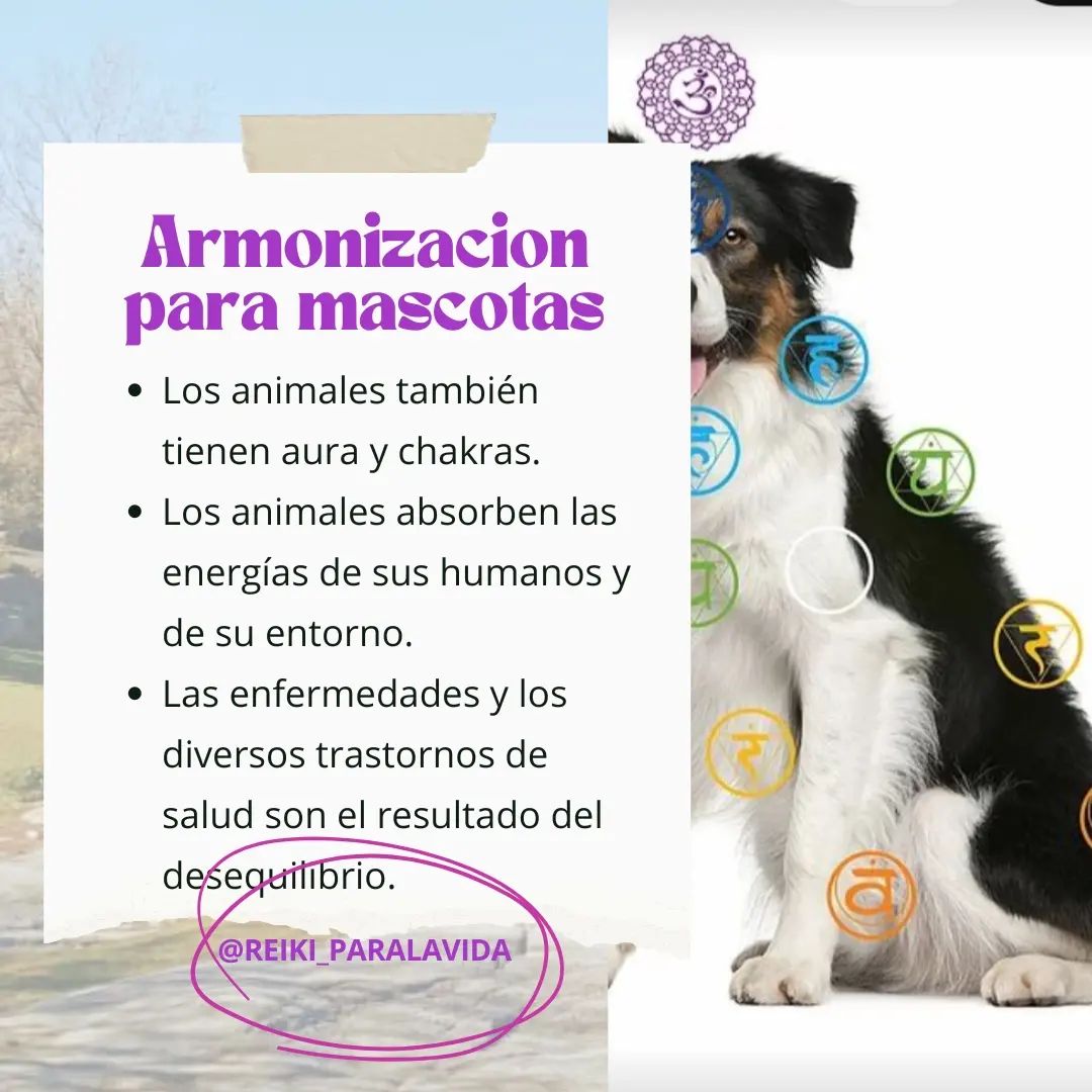 reiki_paralavida Facebook ad: Sabías que la radiestesia mediante péndulo nos ayuda…