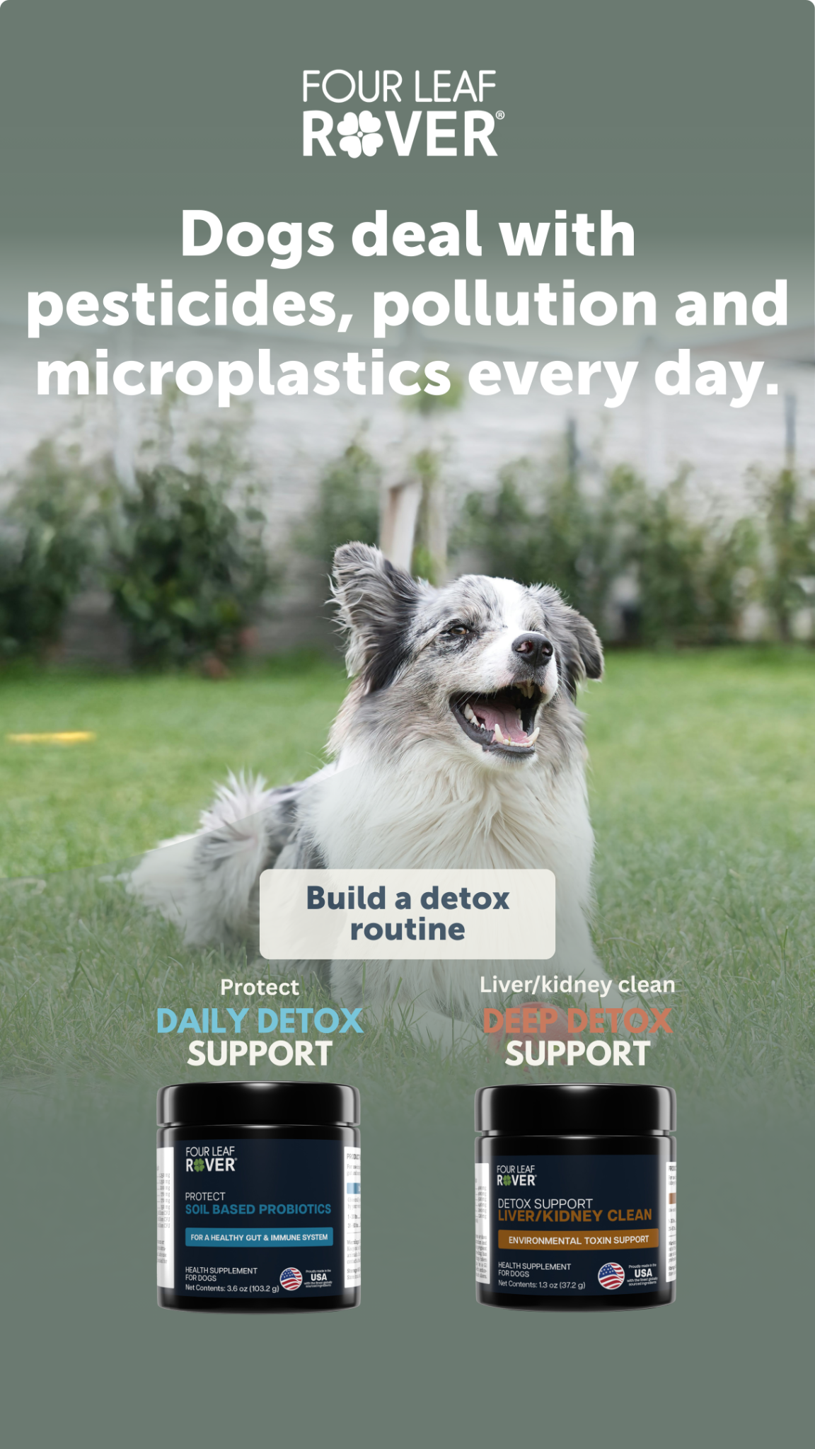Four Leaf Rover Facebook ad