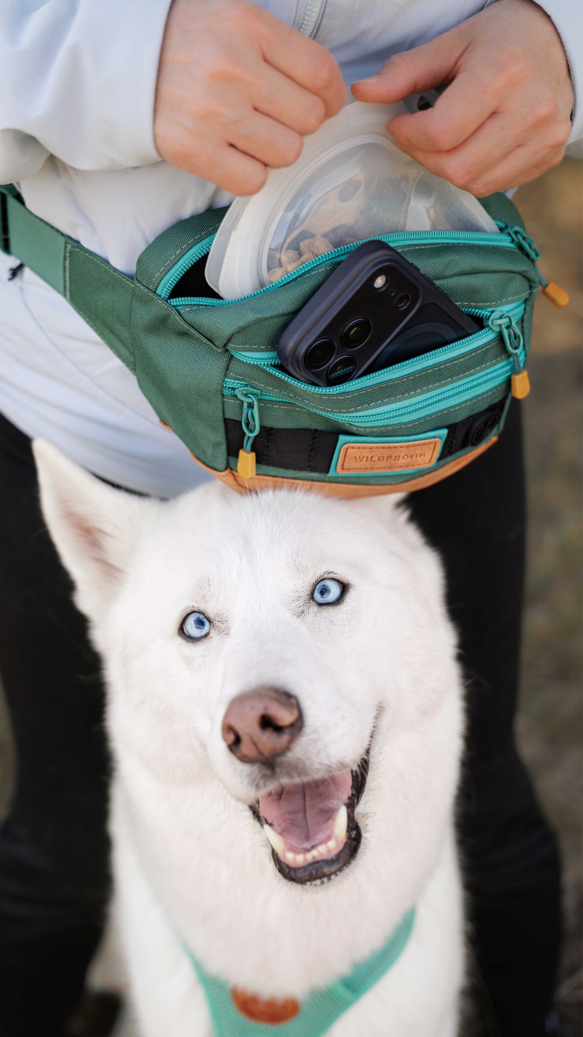 ginkgo_husky Facebook ad