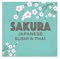 Sakura Sushi and Thai