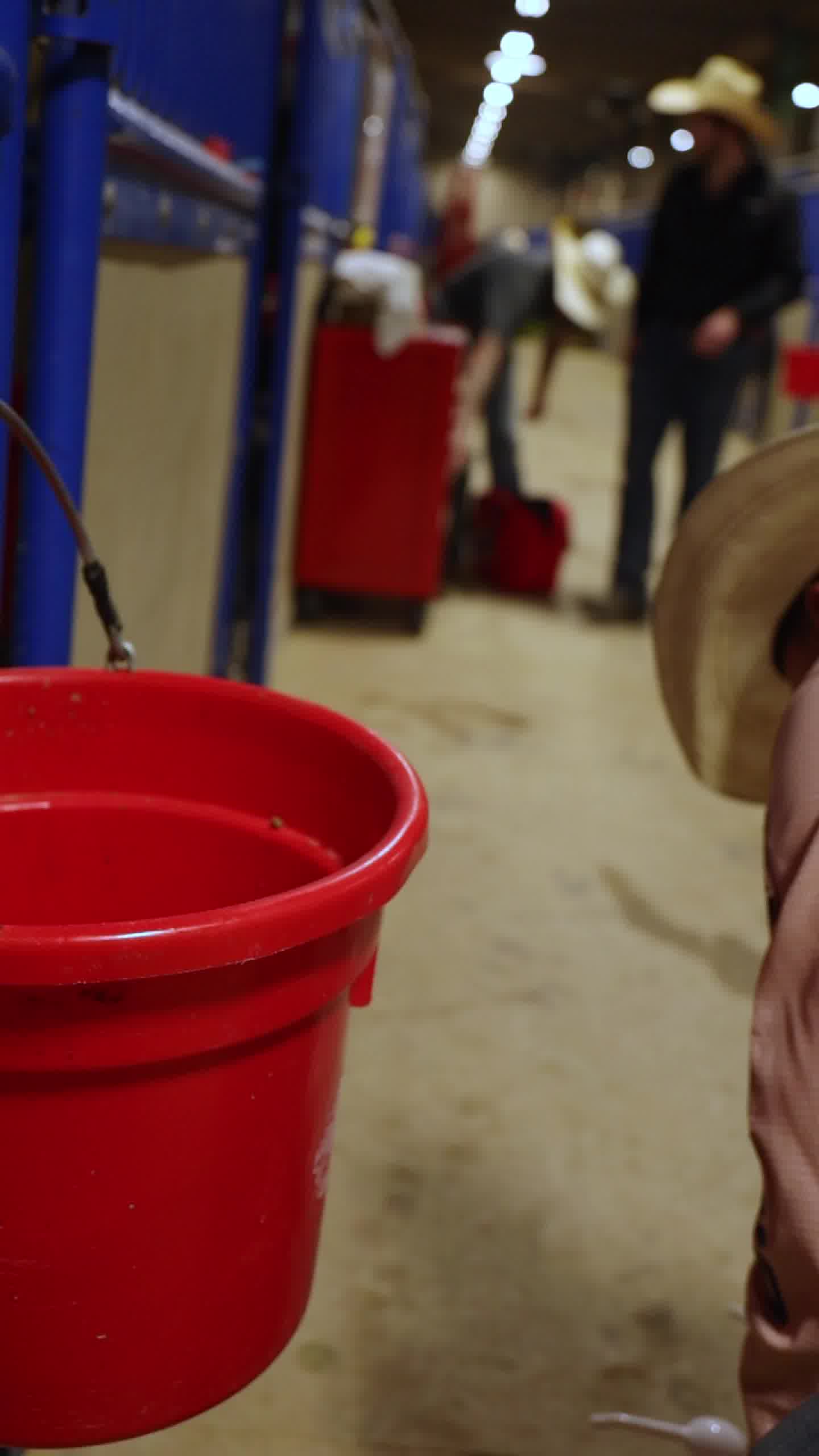 100X Equine Facebook ad: Corey Cushing's favorite 100X Equine products!