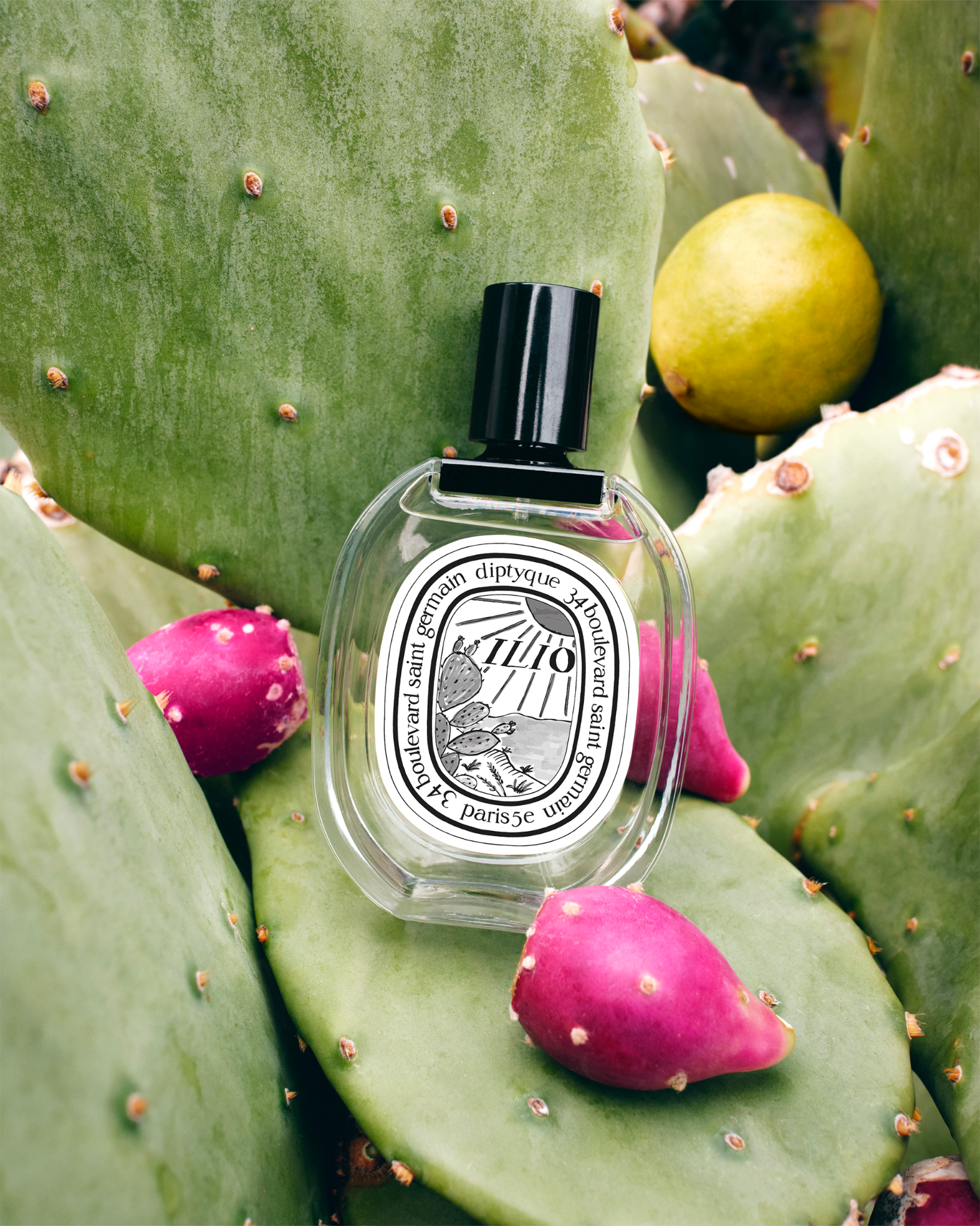diptyque Facebook ad