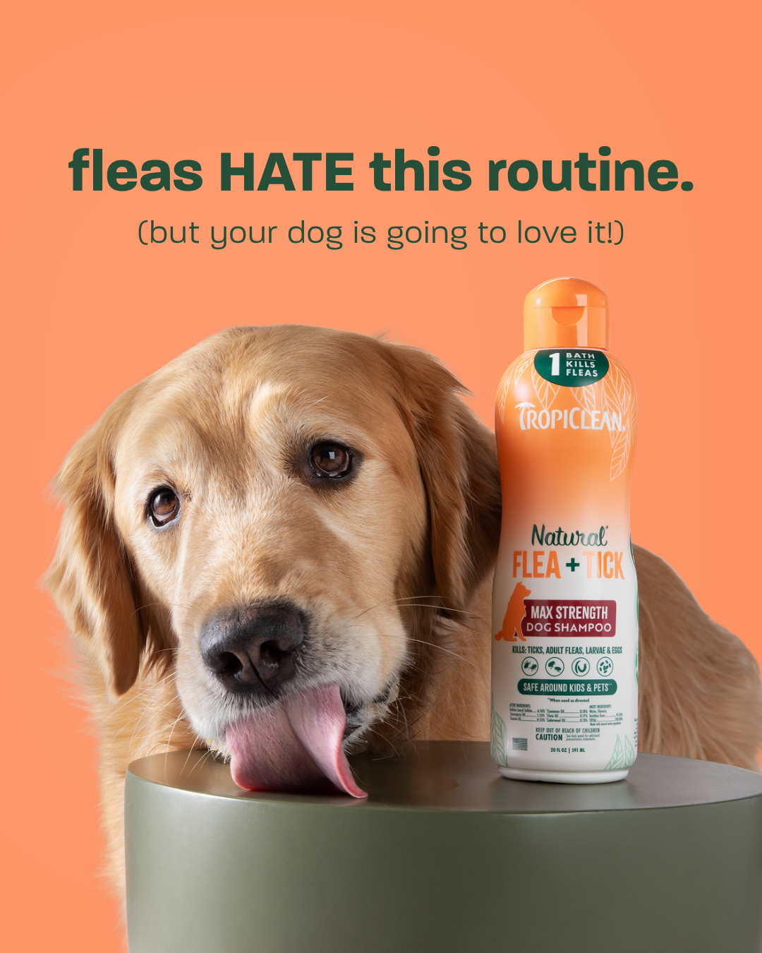 TropiClean Pet Products Facebook ad: Gentle on dogs, tough on fleas + ticks!