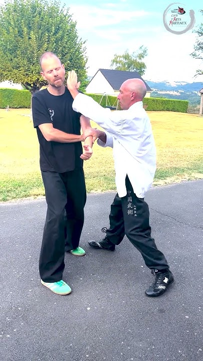 Wing Chun dans le Cantal Facebook ad: L'art d'utiliser la force adverse #wingchun #beddar…