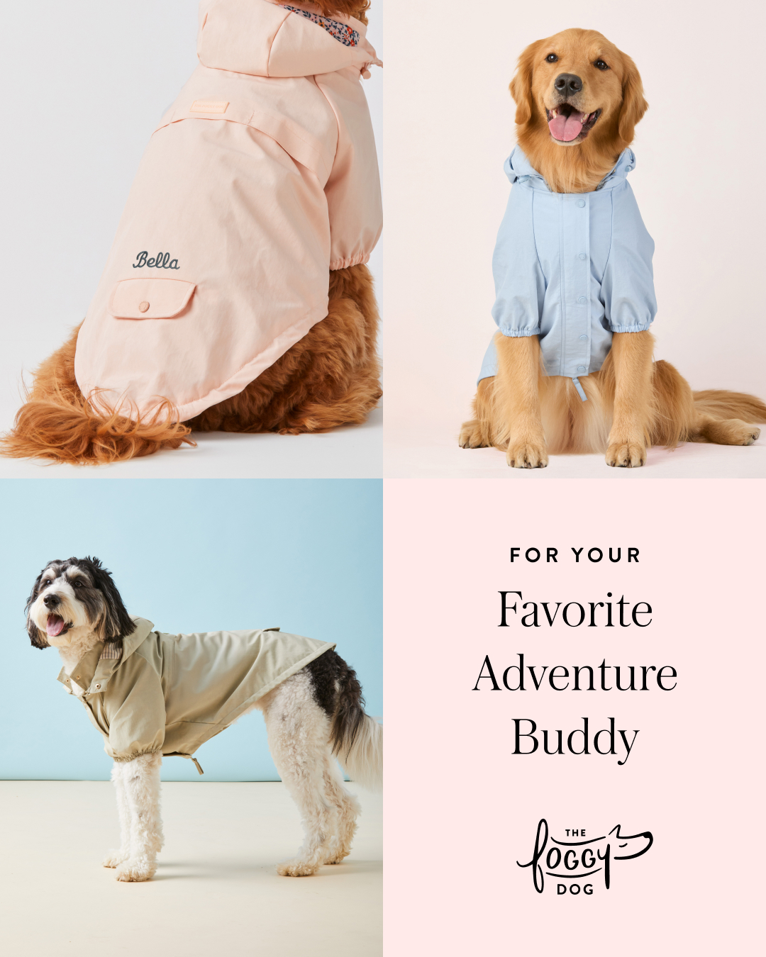 The Foggy Dog Facebook ad