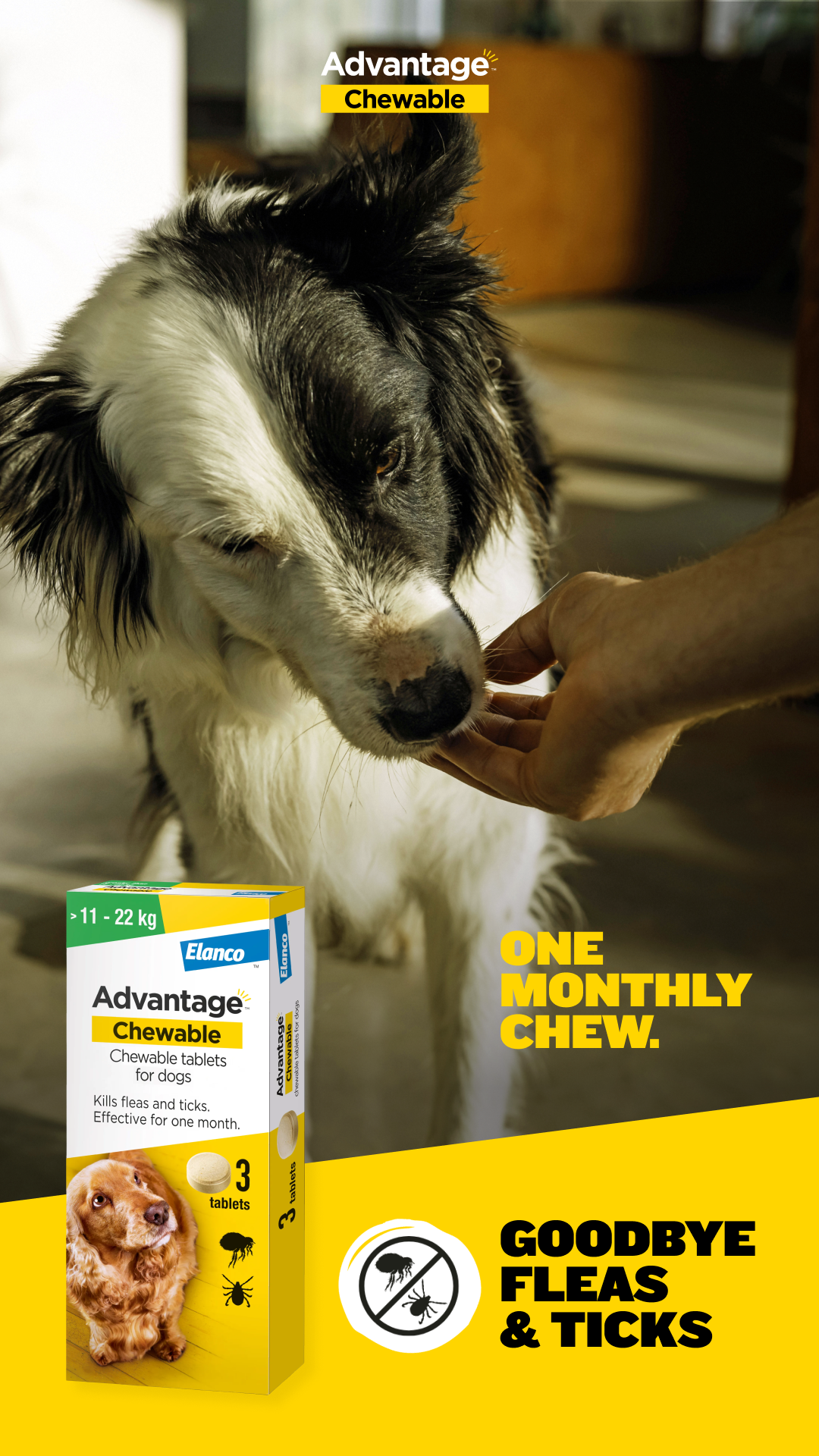 My Pet and I Facebook ad from Mar 25, 2026