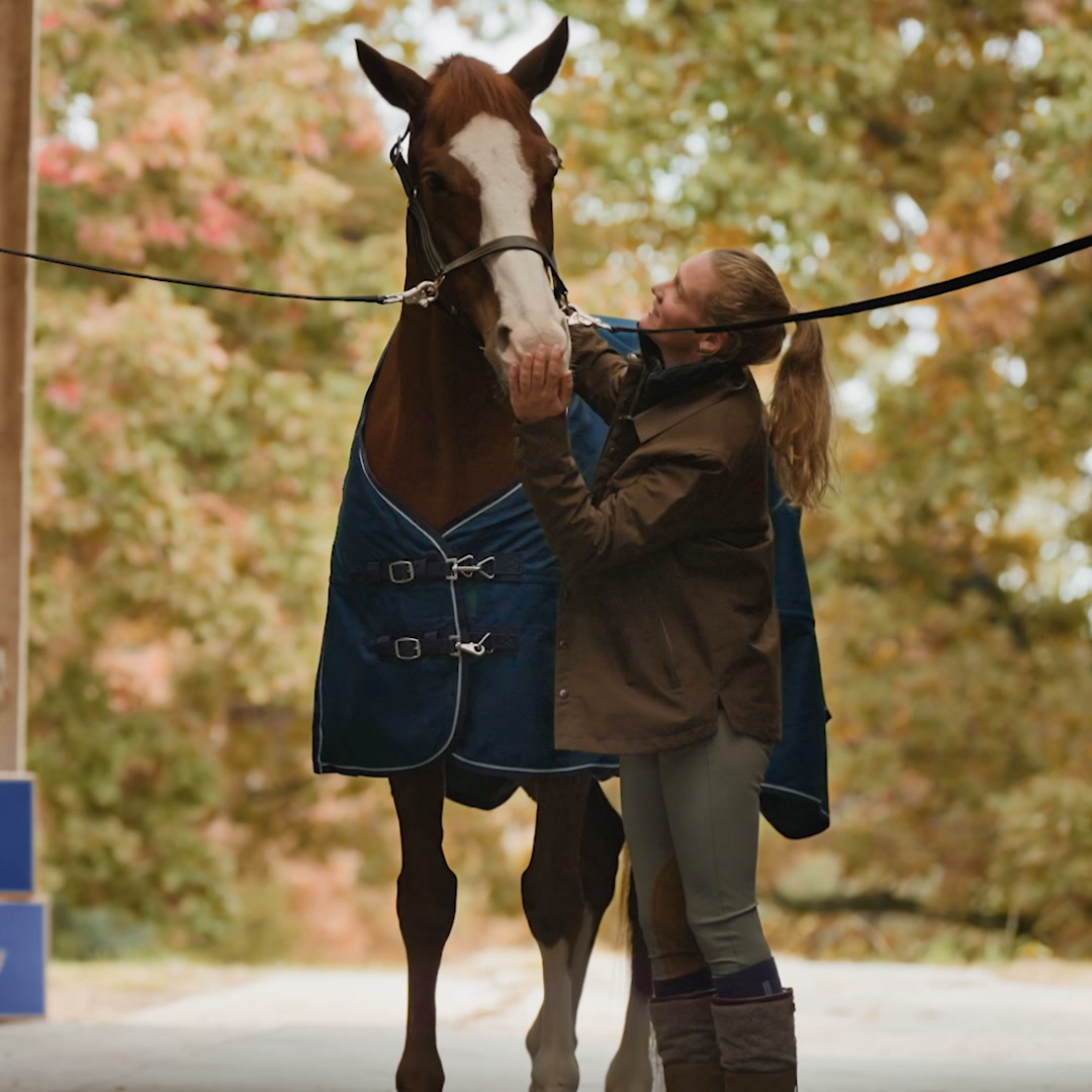 Chewy Facebook ad: Fall horse essentials