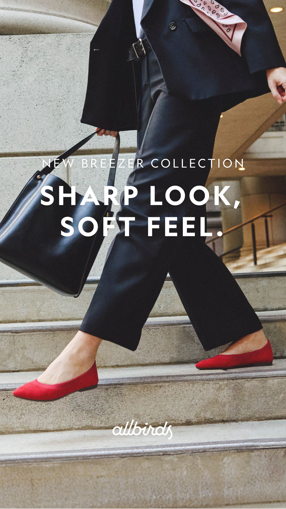 Allbirds New Zealand Facebook ad