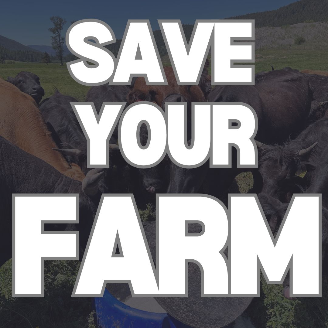 Sell Beef Direct Facebook ad