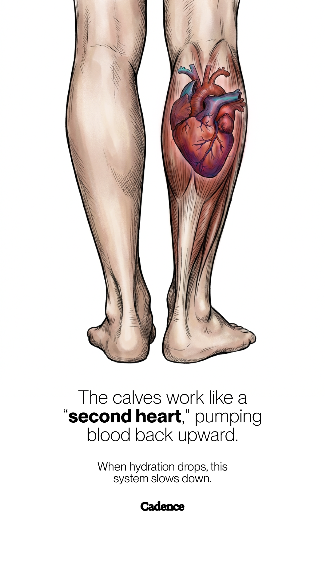 Use Cadence Facebook ad
