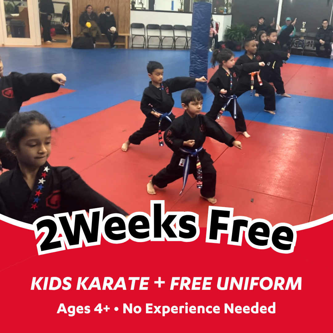 Go For It Martial Arts Hicksville Facebook ad