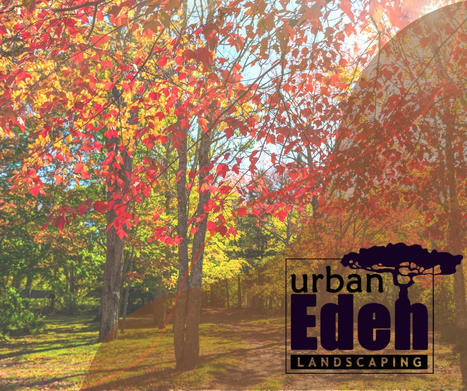 Urban Eden Landscaping Facebook ad