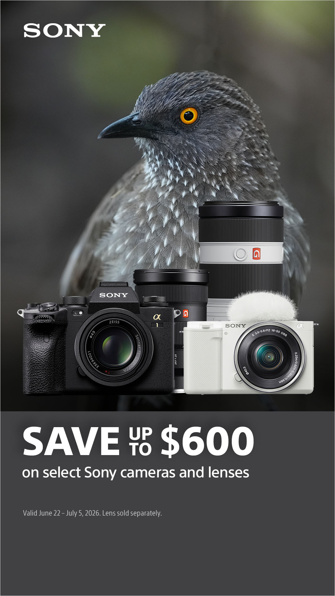 Sony - Alpha Universe Facebook ad from Jun 23, 2026