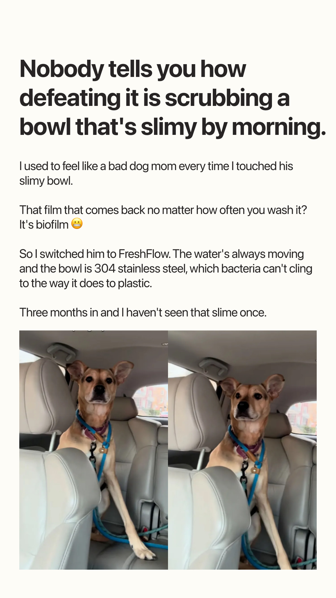 Pet Health Insiders Facebook ad