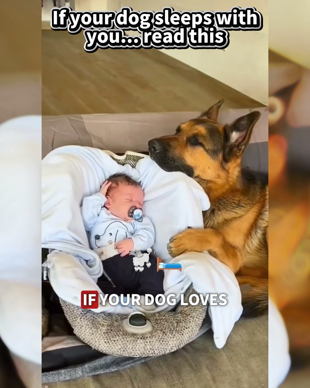 Puainta Pets Facebook ad: Simple Support for Skin Comfort