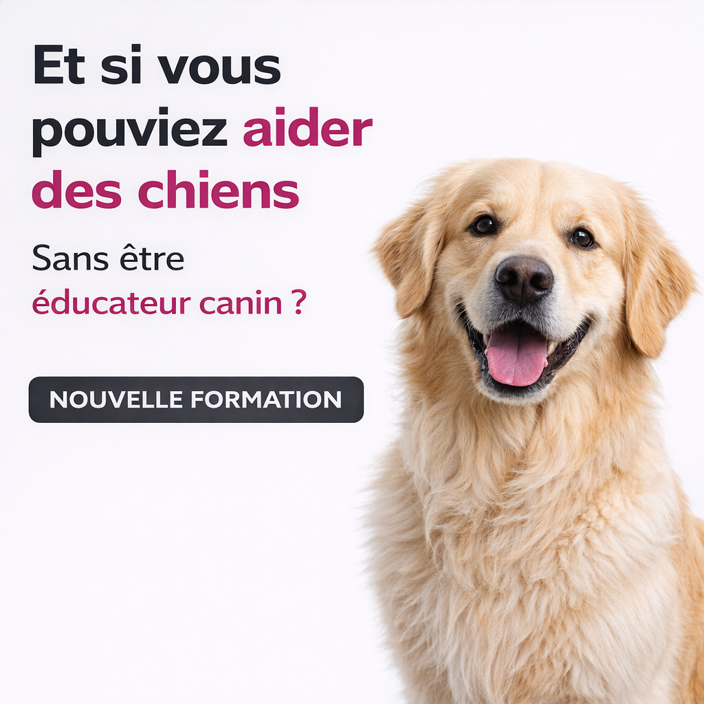 Educ Dog - Vincent Marchal Facebook ad: Aider des chiens sans devenir éducateur canin, c’est…