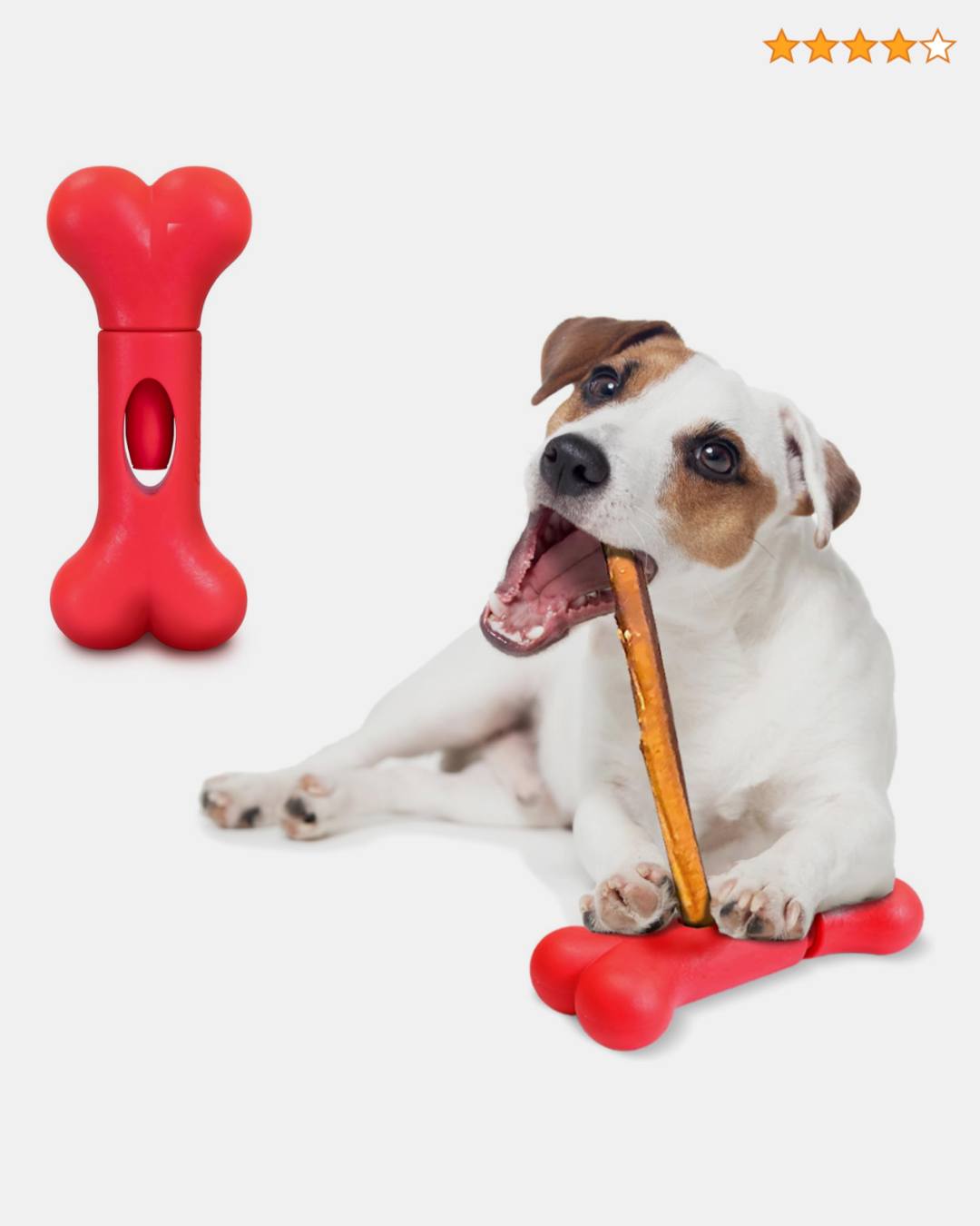 Amazon.ae Facebook ad: Shop our selection of pet products and supplies…