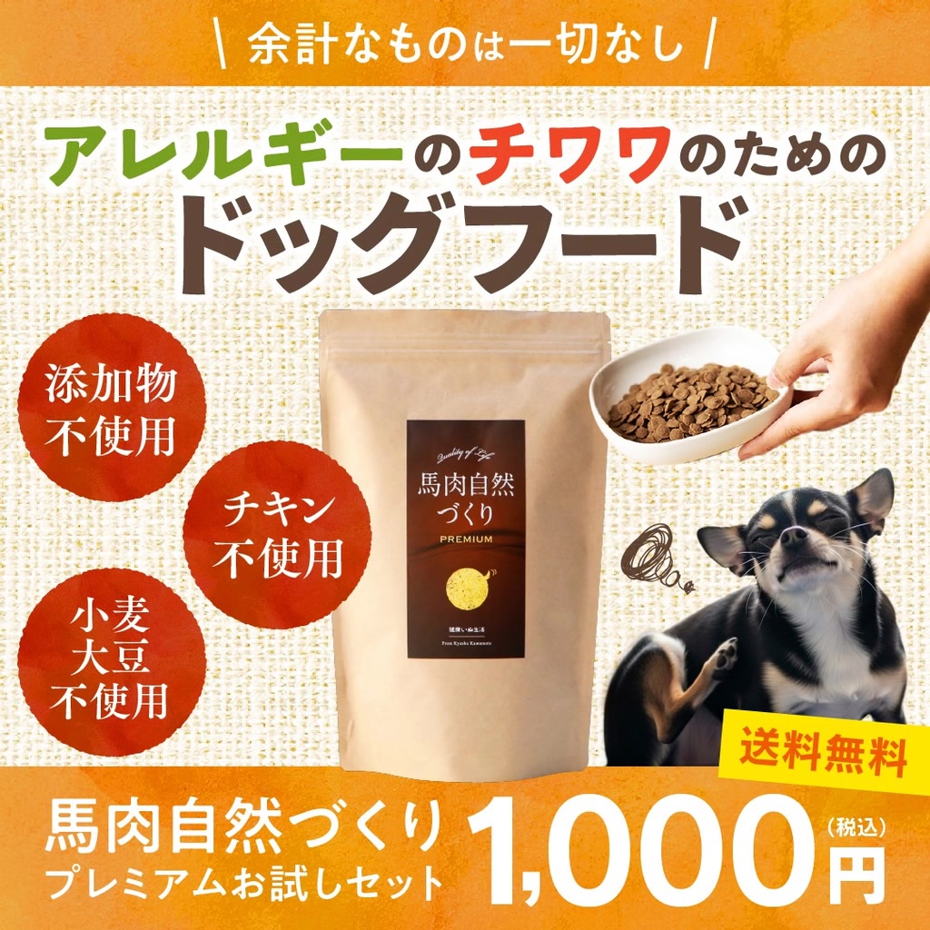 健康いぬ生活 Facebook ad