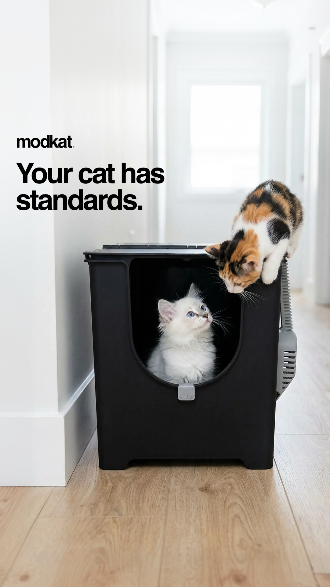 Modkat Facebook ad