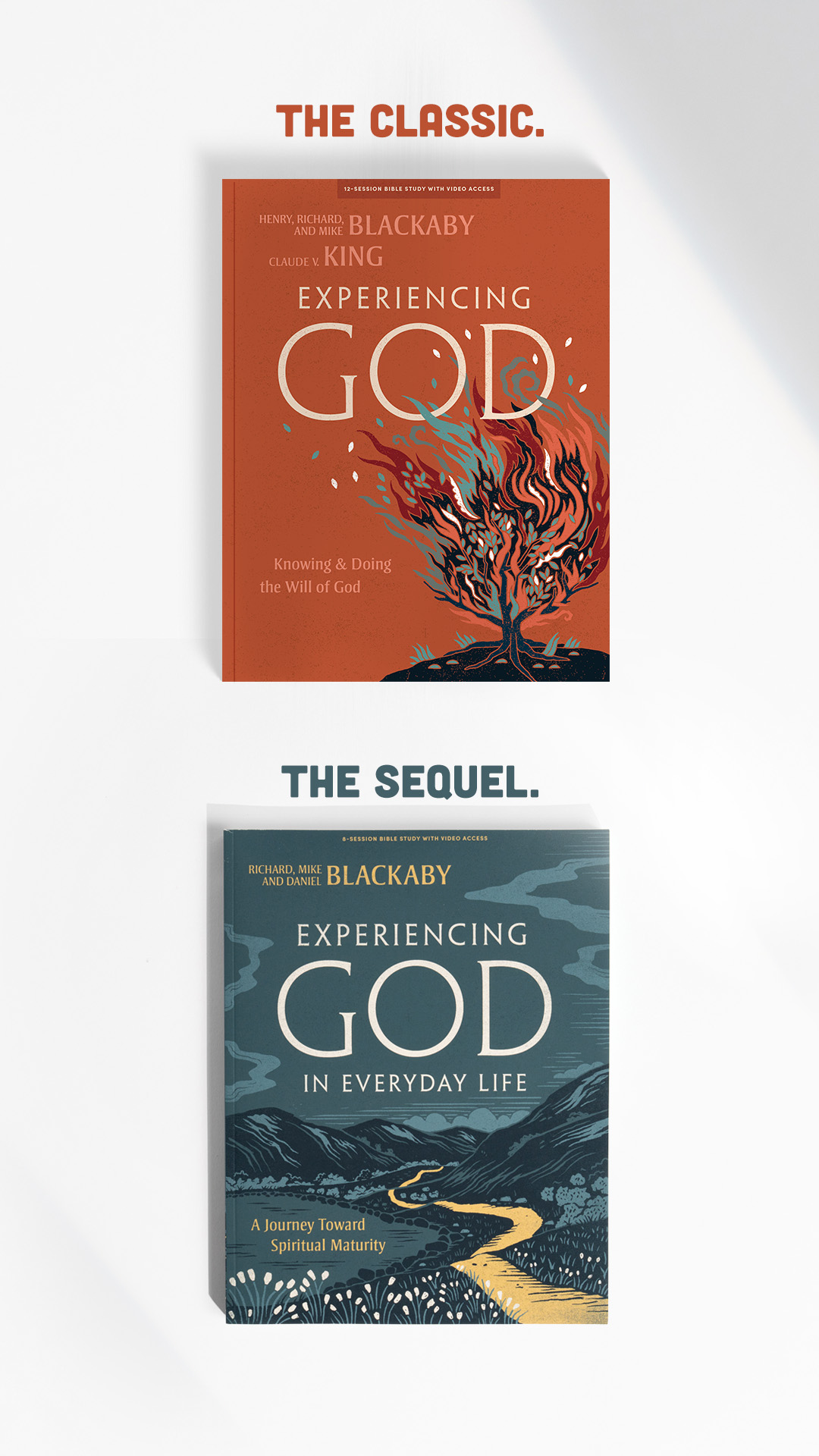 Lifeway Facebook ad
