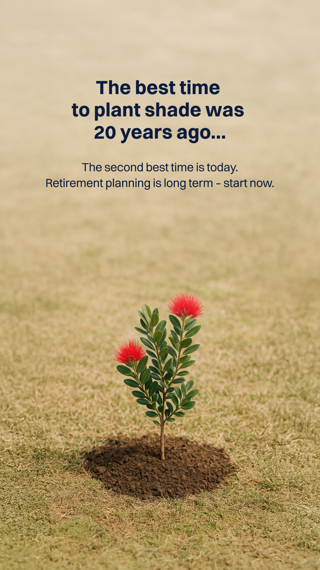 Lighthouse Financial Facebook ad