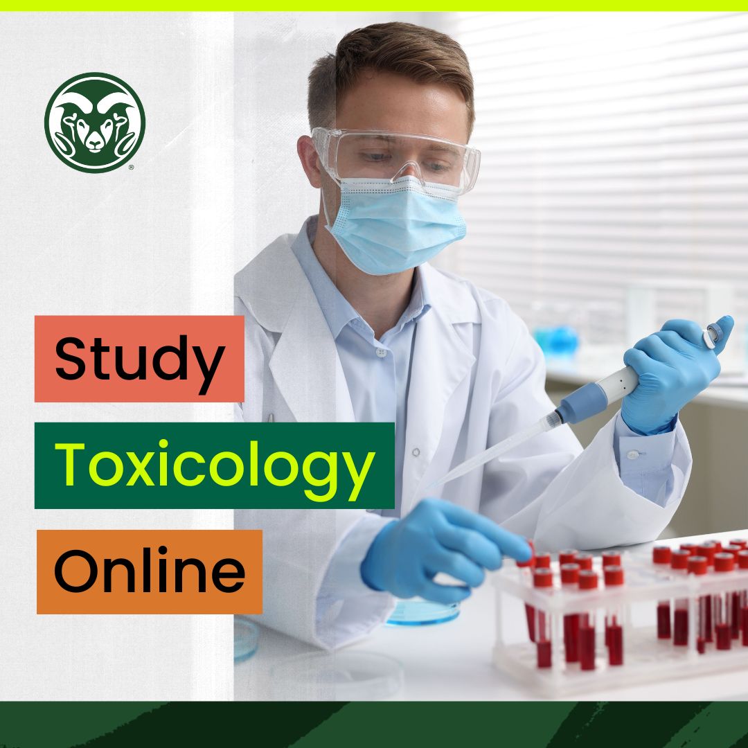 Colorado State University Online Facebook ad