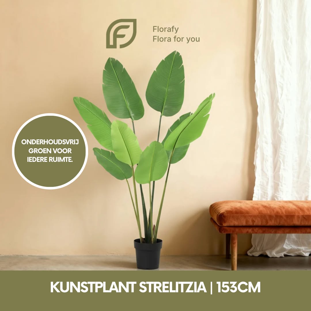 Florafy Facebook ad: De scherpste prijzen voor levensechte kunstplanten