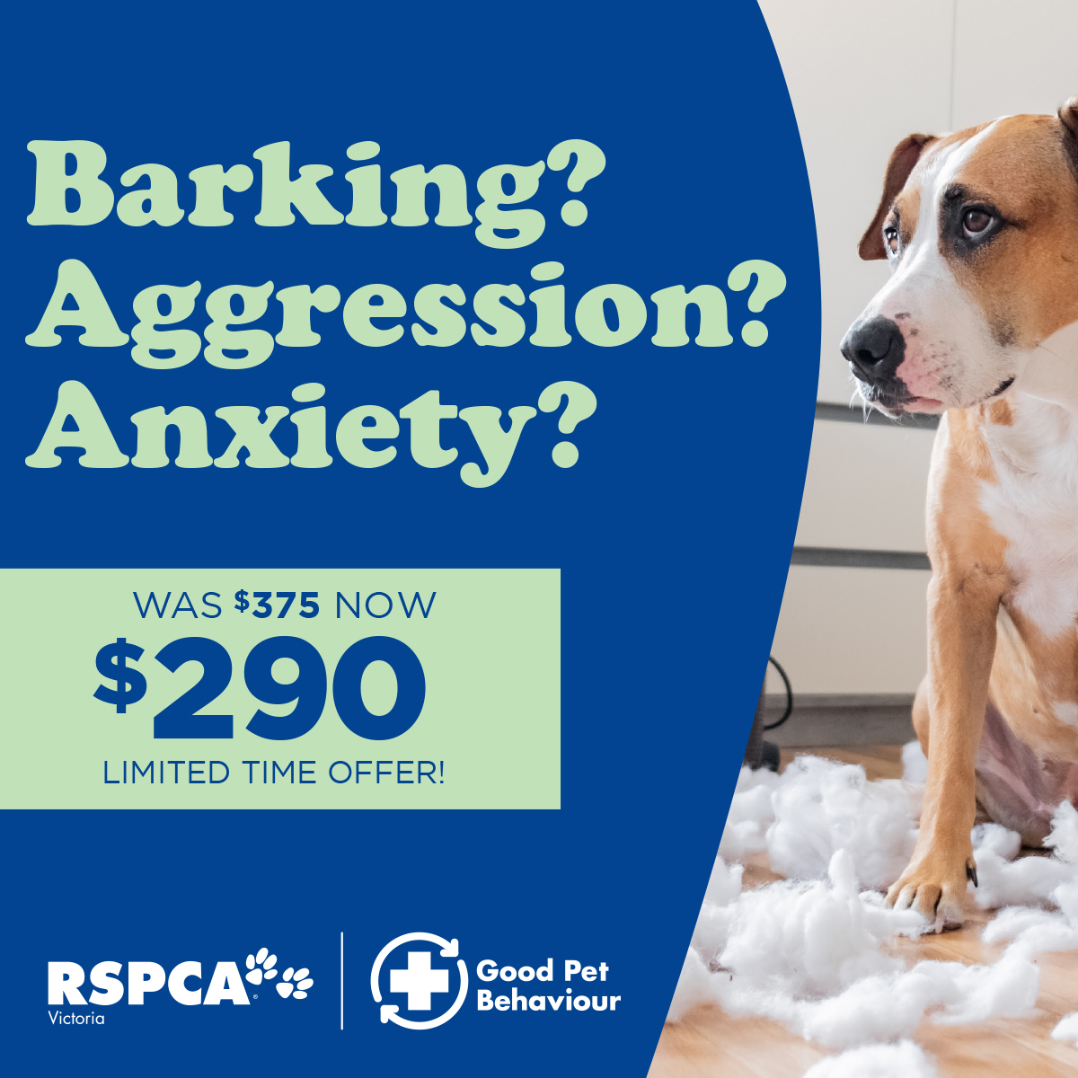 RSPCA Victoria Facebook ad