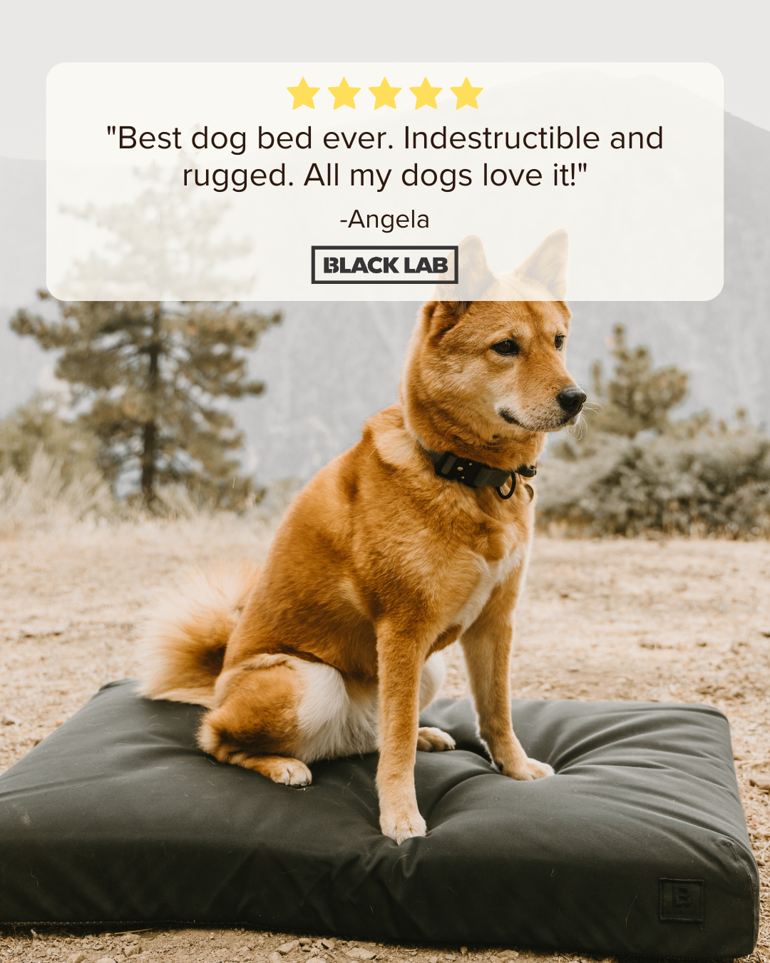 Black Lab Brands Facebook ad