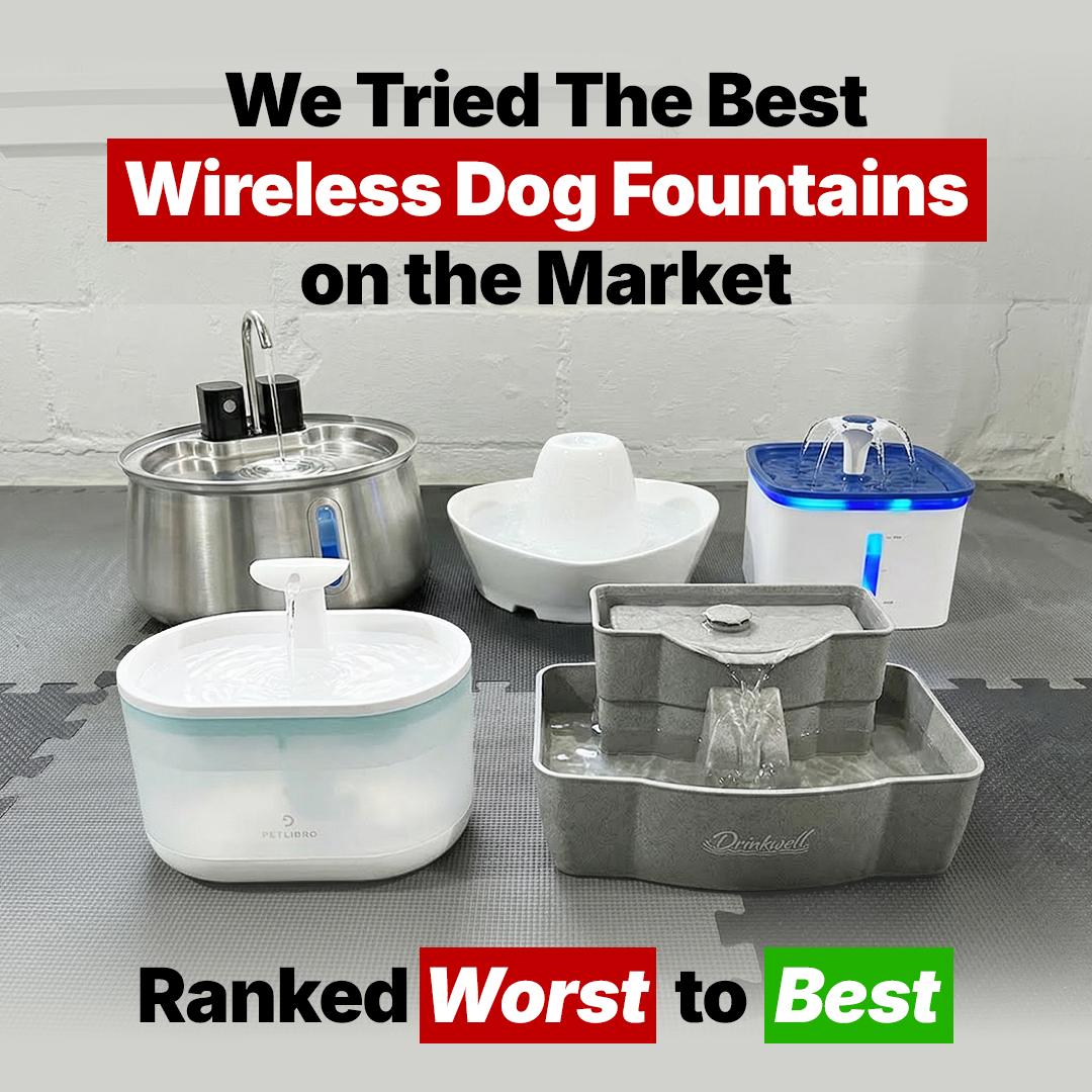 Best Dog Products 2026 Facebook ad