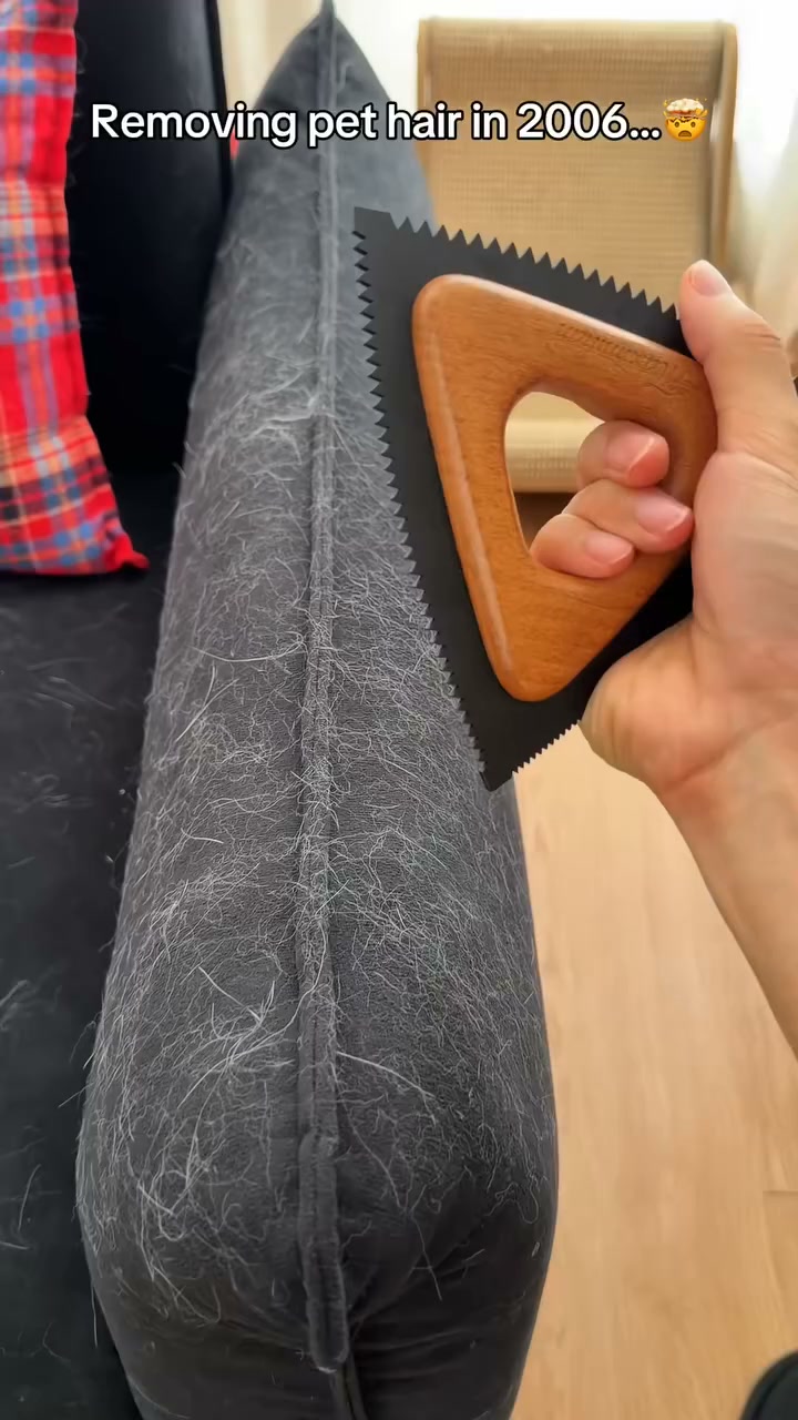PurePath Facebook ad: Remove Pet Hair in 30 Seconds