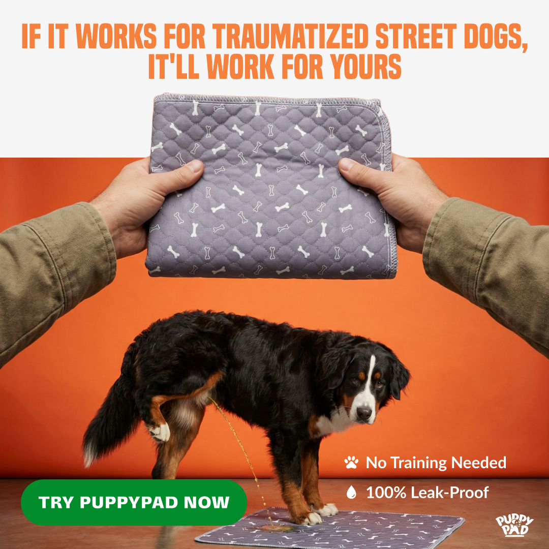 PuppyPad Facebook ad