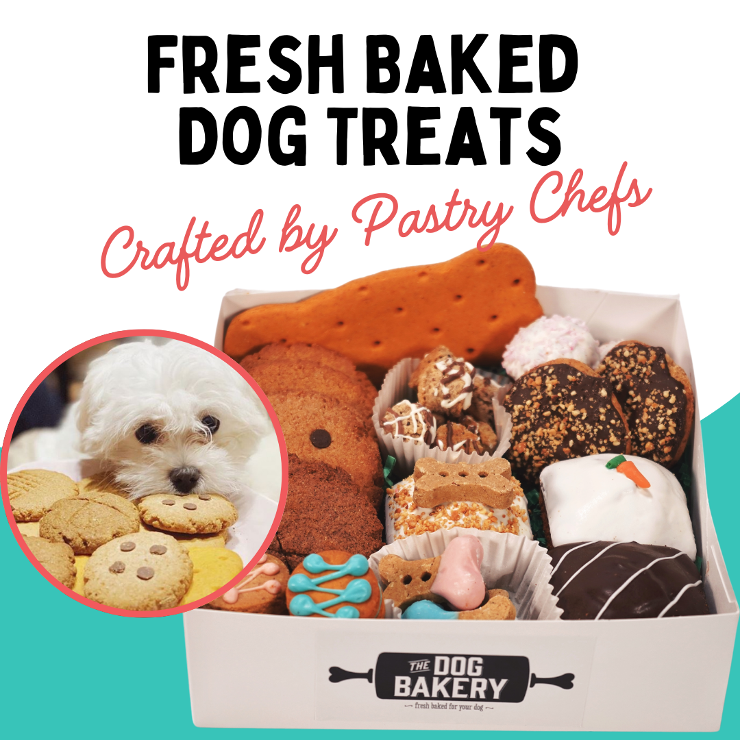 The Dog Bakery Facebook ad