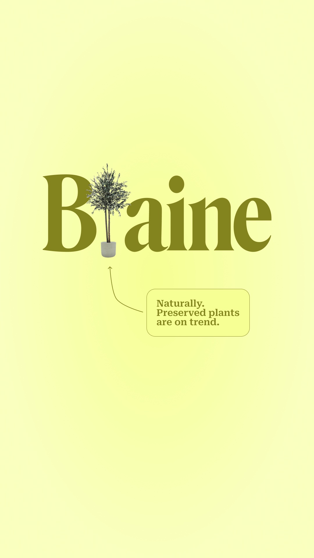 Blaine Box Facebook ad