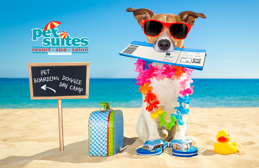Pet Suites Facebook ad: Whether you're at work or away on an…