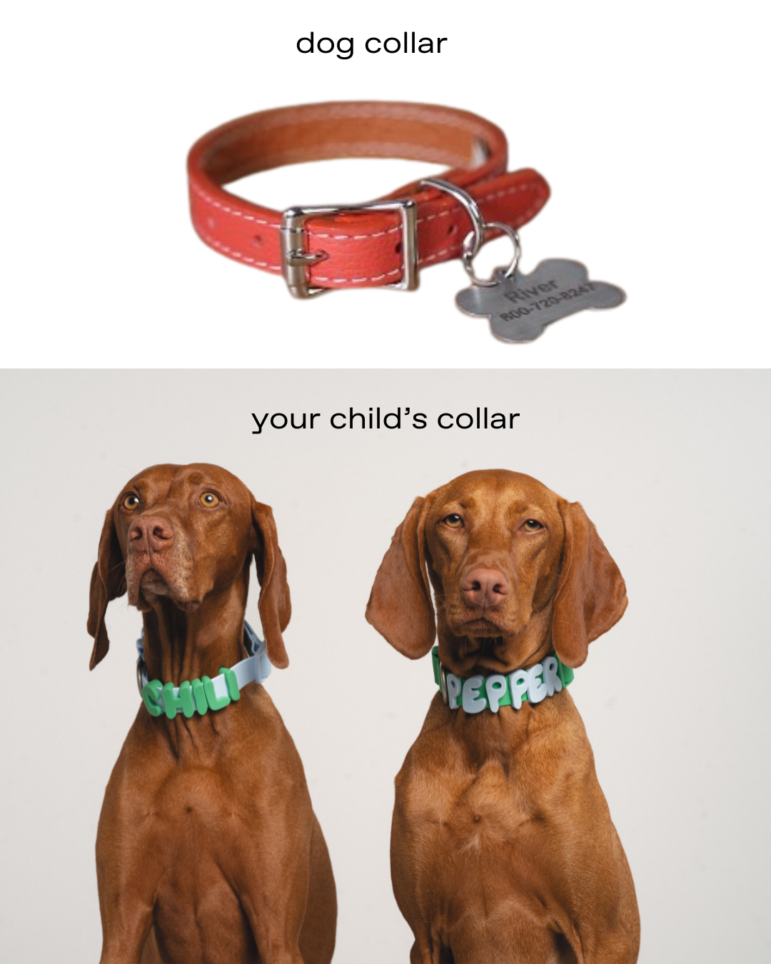 Springland Pets Facebook ad