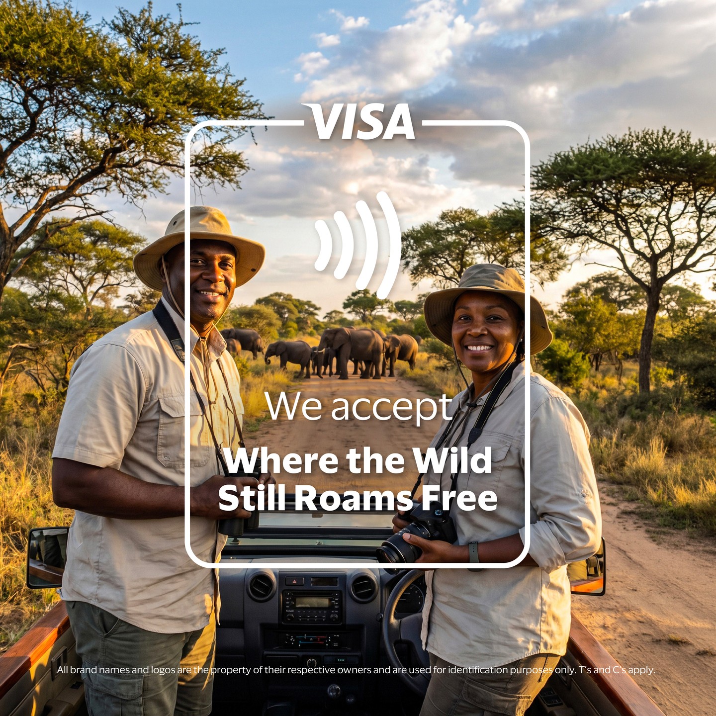 Visa Facebook ad: Fly to South Africa and spot the Big…