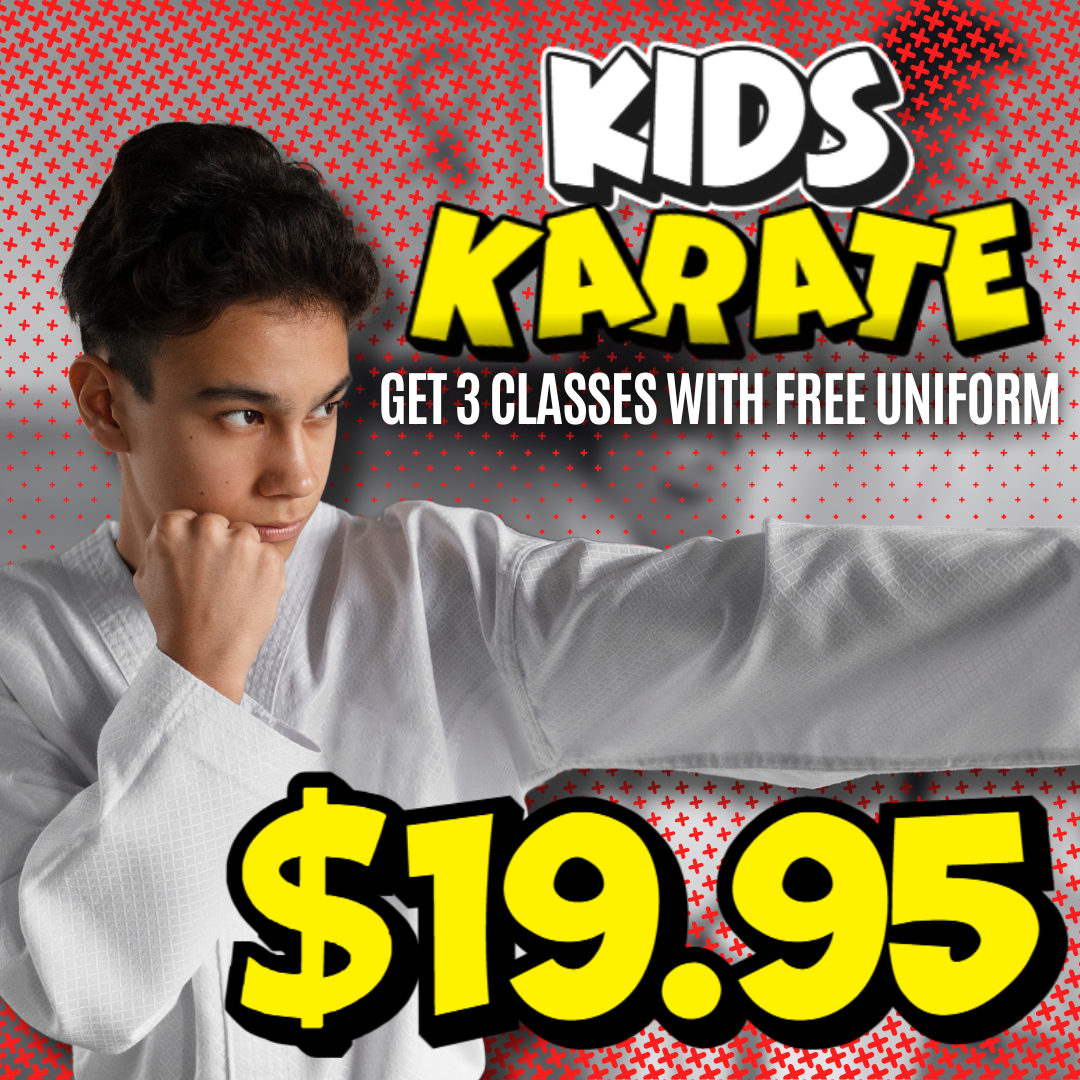 Amerikick Martial Arts Facebook ad