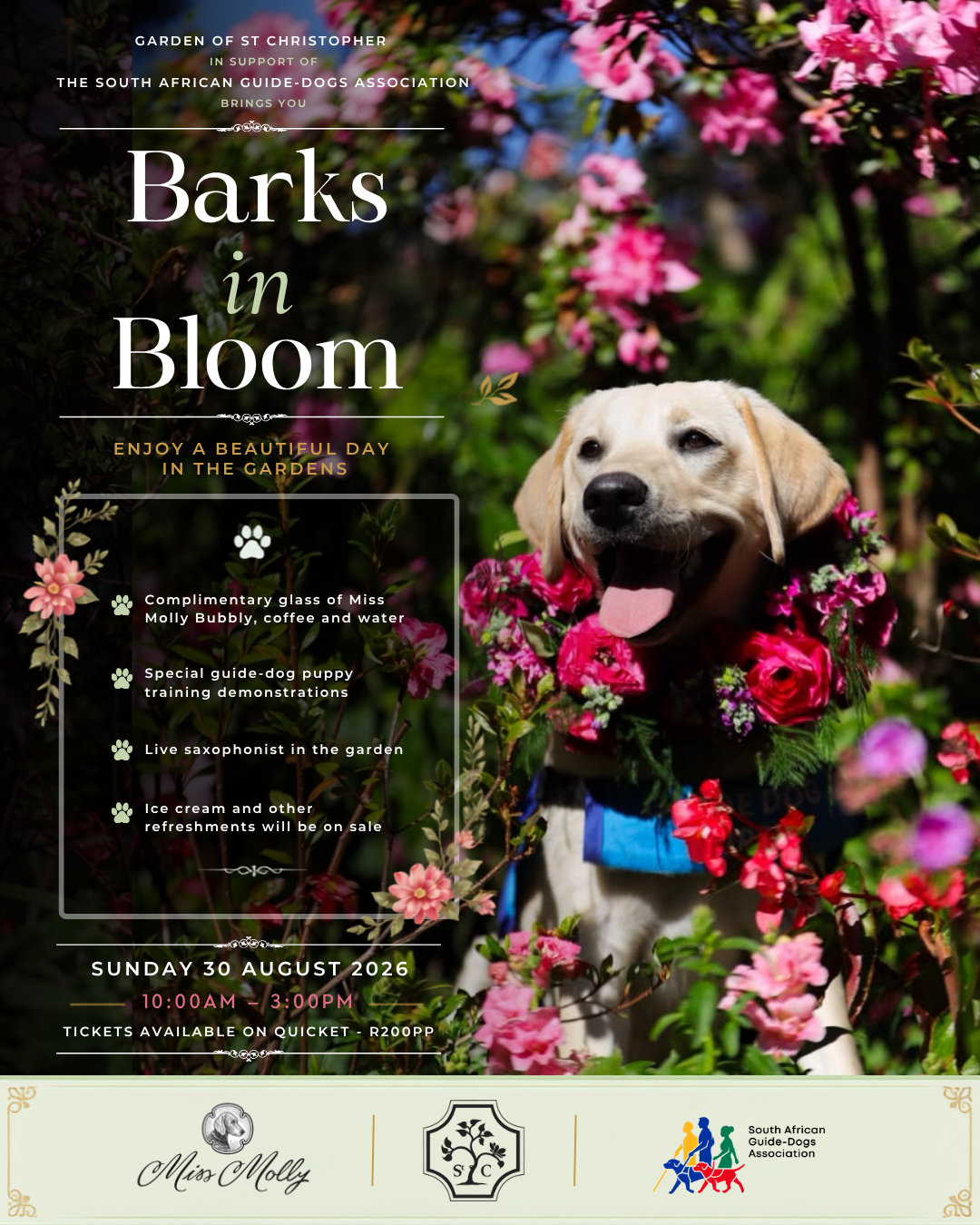 South African Guide-Dogs Association for the Blind Facebook ad