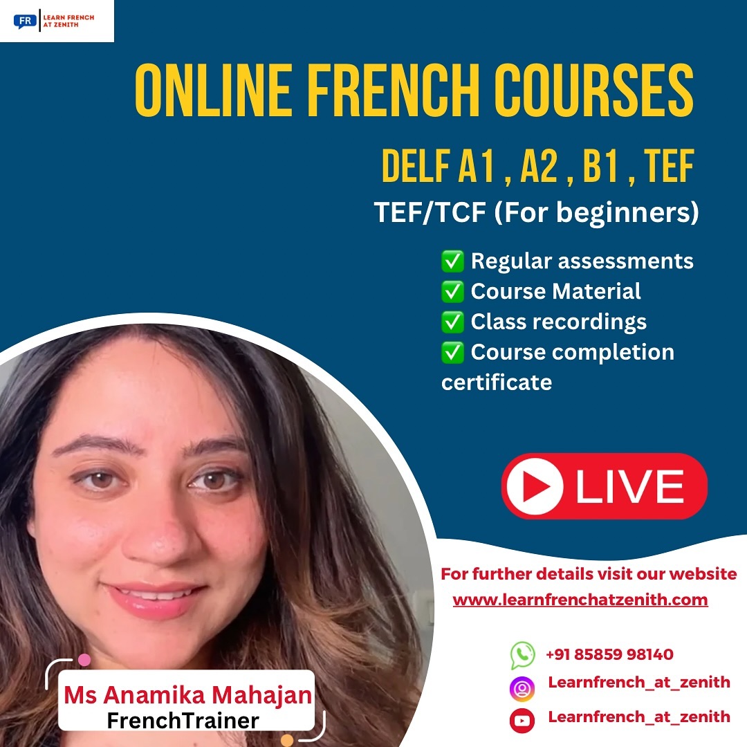 Zénith - School of foreign languages Facebook ad: French Interactive Online Classes