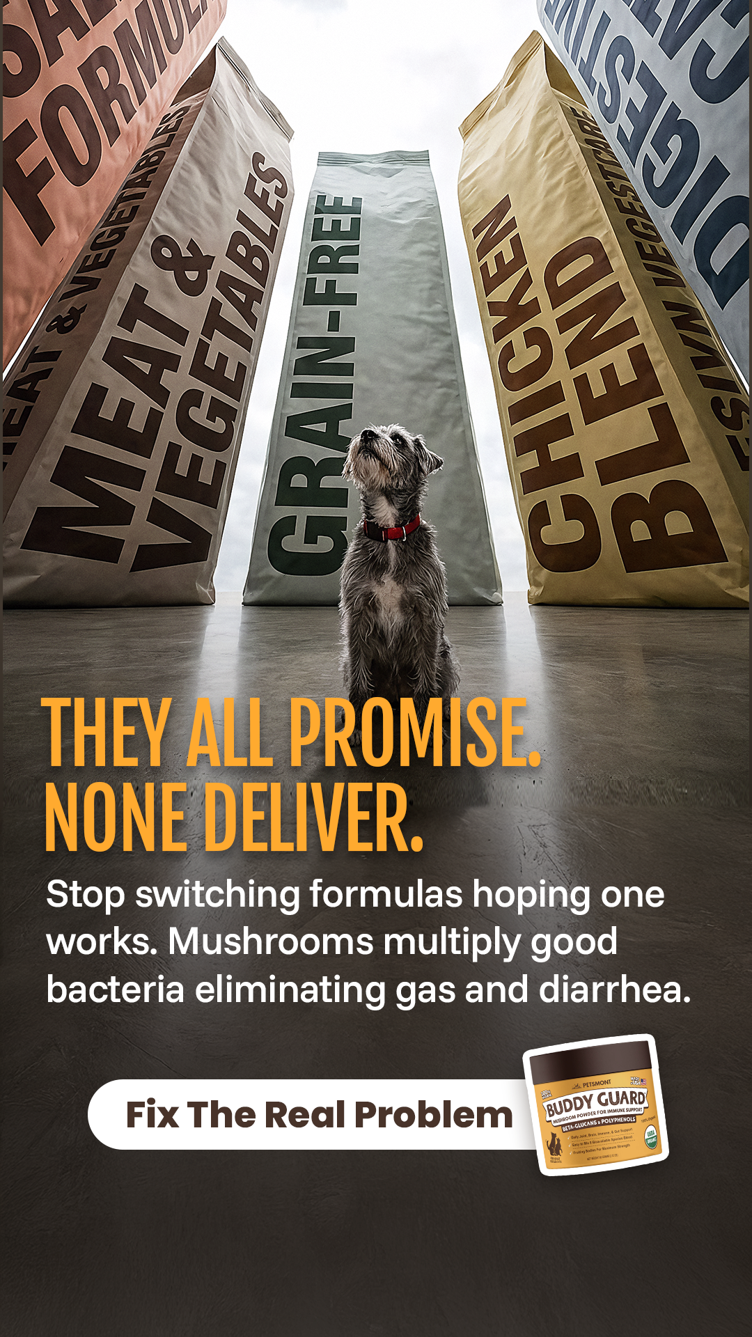 Petsmont Facebook ad