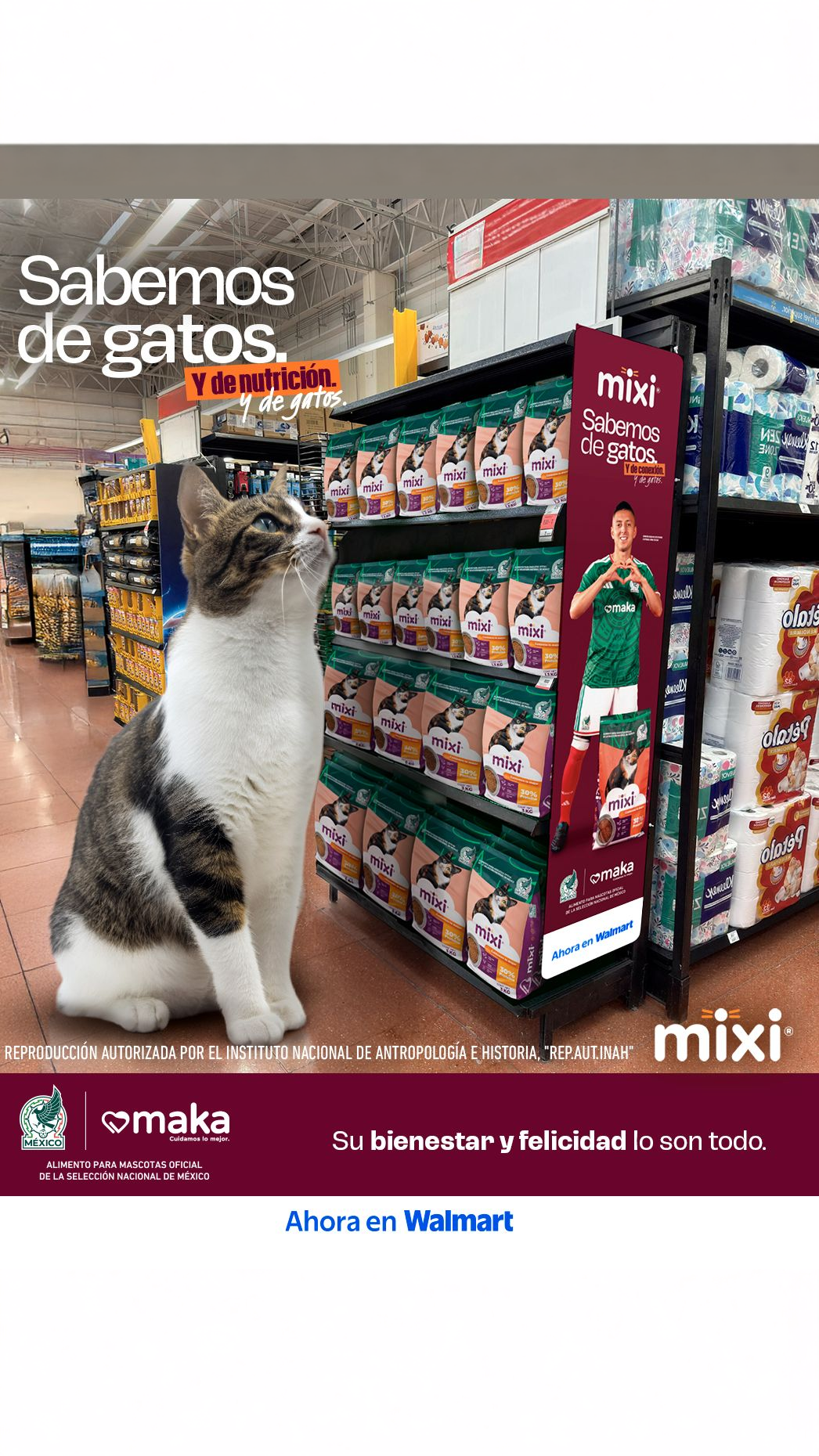 Mixi Facebook ad: Darle a tu gato algo que lo nutra…