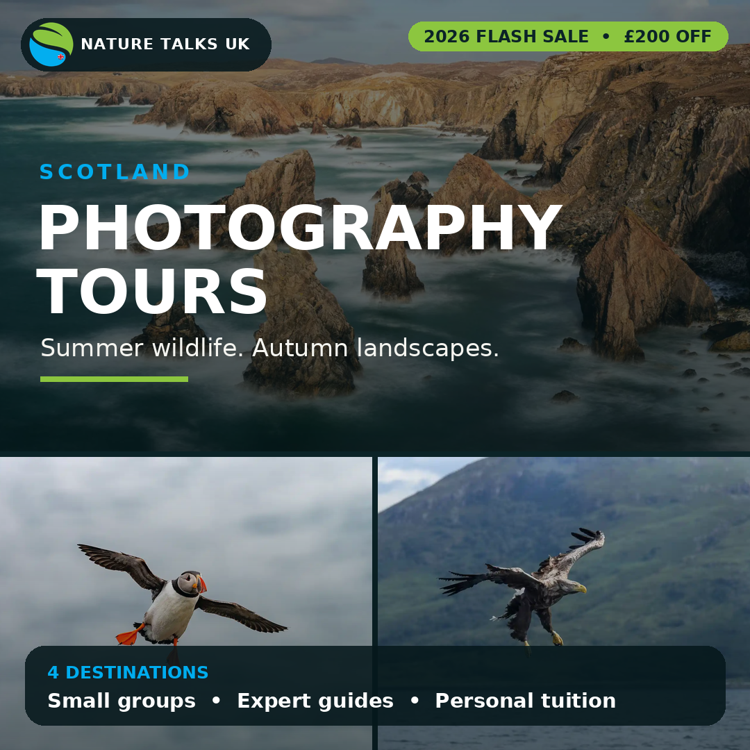 Nature Talks Photo Festival Facebook ad